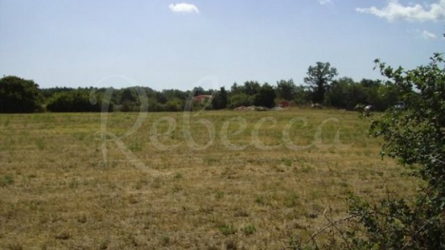 Land, Kanfanar Thumbnail