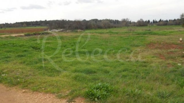Land, Vodnjan Thumbnail