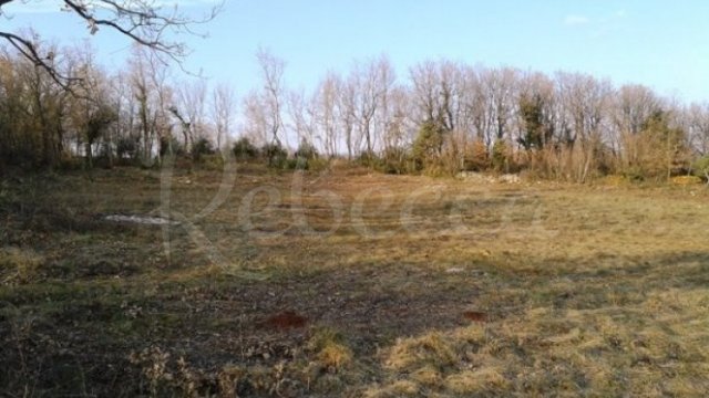 Land, Barban Thumbnail
