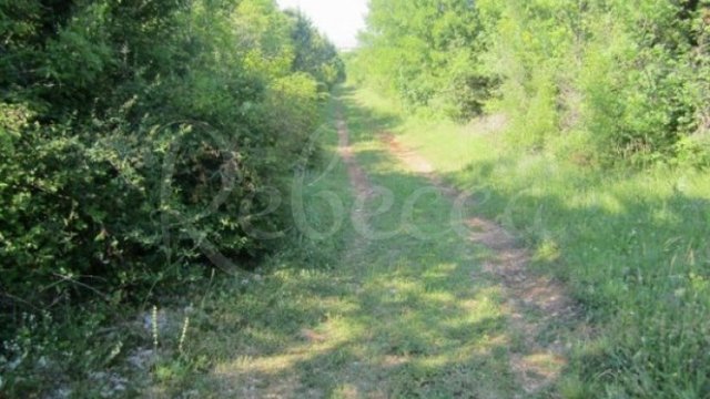 Land, Marčana Thumbnail