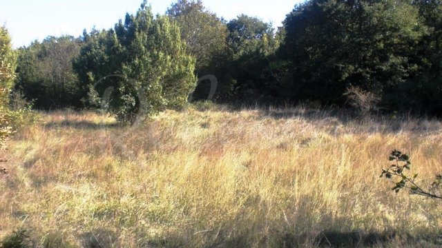 Land, Marčana Thumbnail