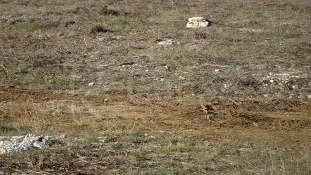 Land, Barbariga Thumbnail