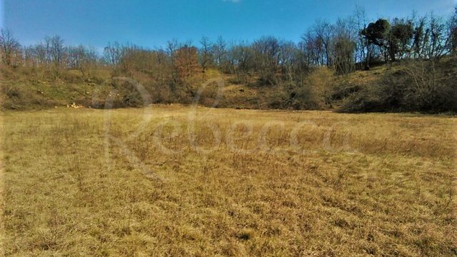 Land, Svetvinčenat Thumbnail