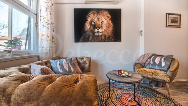 Apartman, Stoja Thumbnail