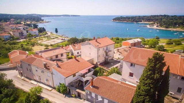 Apartman, Stoja Thumbnail