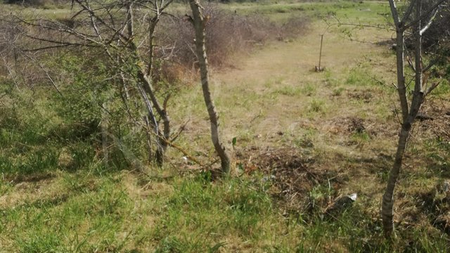 Land, Valdebek Thumbnail