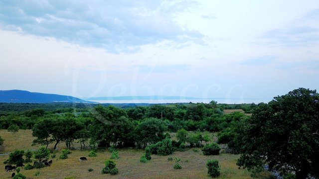 Land, Krnica Thumbnail
