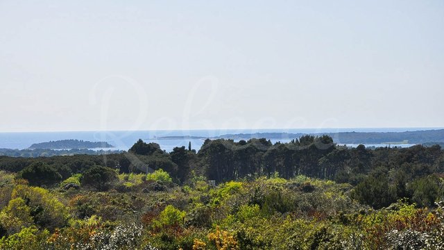 Land, Galižana Thumbnail
