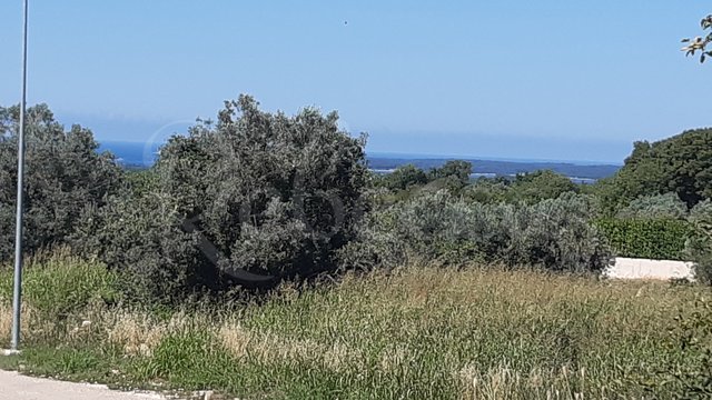 Land, Galižana Thumbnail