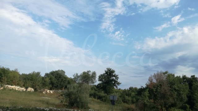 Zemljište, Kavran Thumbnail