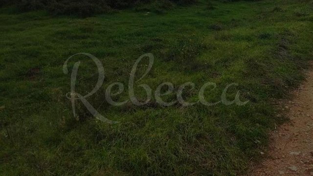Zemljište, Barban Thumbnail