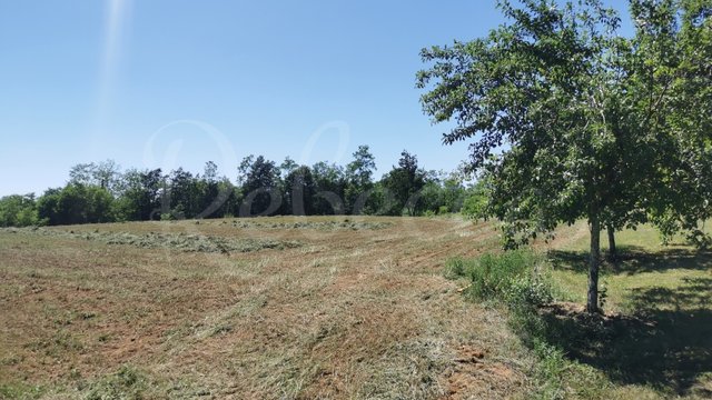 Land, Zabrežani Thumbnail