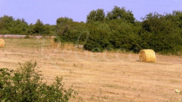 Land, Vodnjan Thumbnail