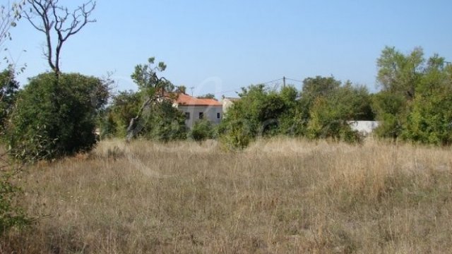 Land, Loborika Thumbnail
